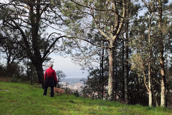 Foto 81 da atividade Galeria de Fotos