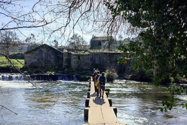 Foto 75 da atividade Galeria de Fotos