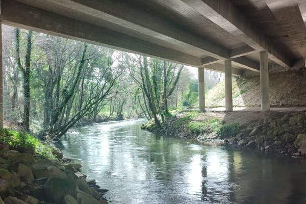 Foto 43 da atividade Galeria de Fotos