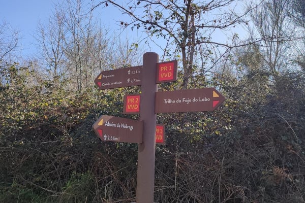 Foto 113 da atividade Galeria de Fotos