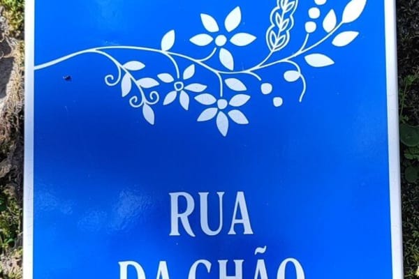 Foto 102 da atividade Galeria de Fotos