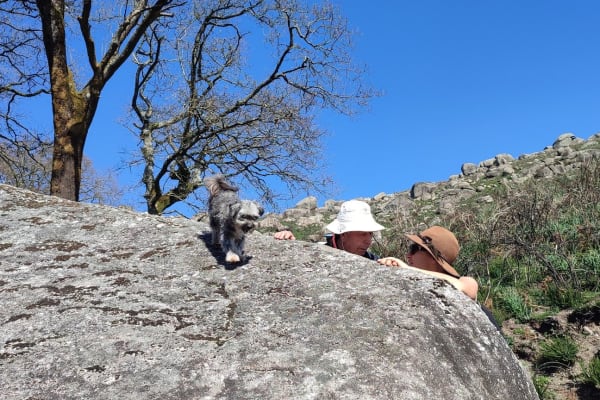 Foto 89 da atividade Galeria de Fotos