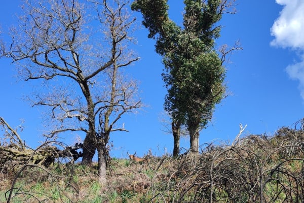 Foto 43 da atividade Galeria de Fotos