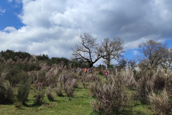 Foto 38 da atividade Galeria de Fotos