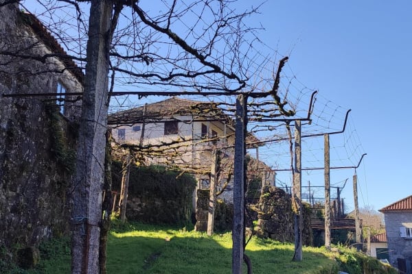 Foto 8 da atividade Galeria de Fotos