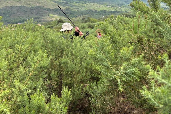 Foto 5 da atividade Galeria de Fotos