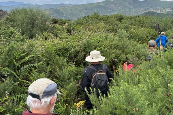 Foto 2 da atividade Galeria de Fotos