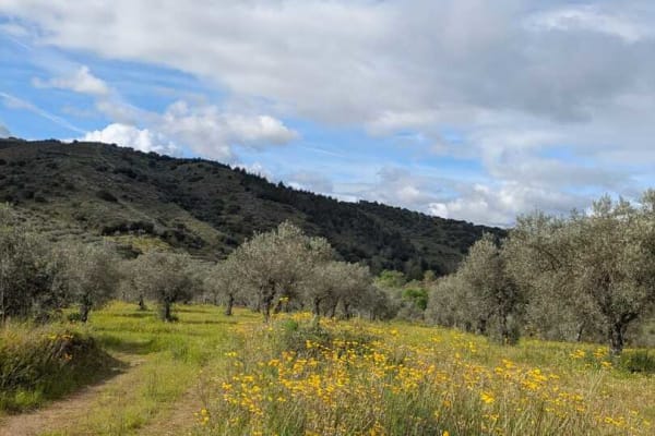 Foto 39 da atividade Galeria de Fotos