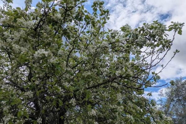 Foto 40 da atividade Galeria de Fotos