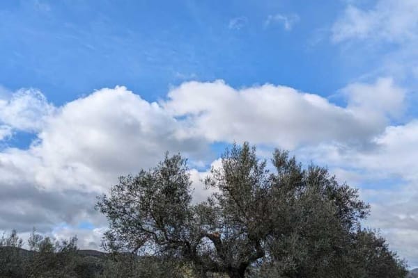 Foto 29 da atividade Galeria de Fotos