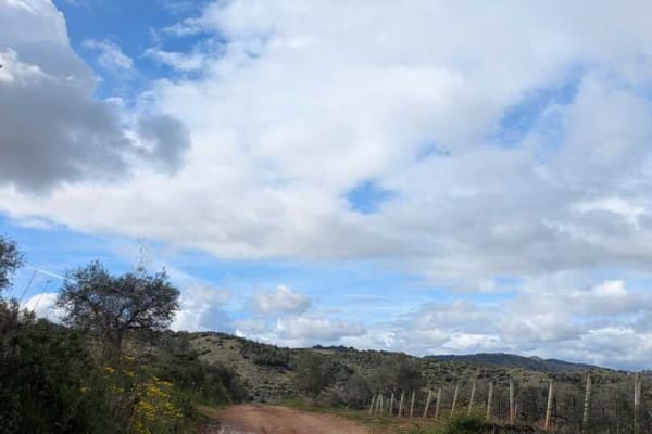 Foto 11 da atividade Galeria de Fotos