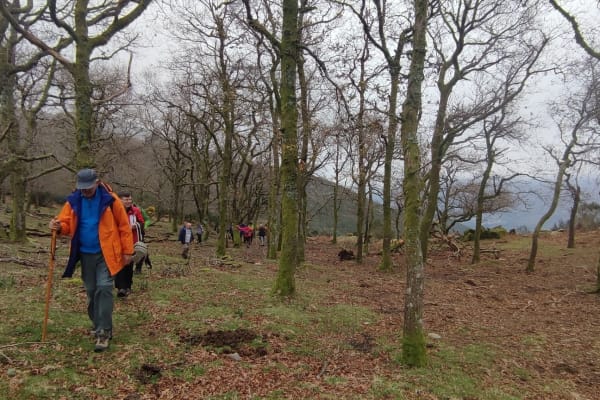 Foto 90 da atividade Galeria de Fotos