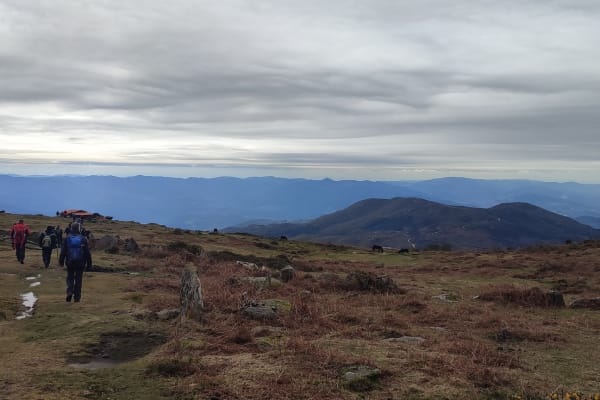 Foto 87 da atividade Galeria de Fotos