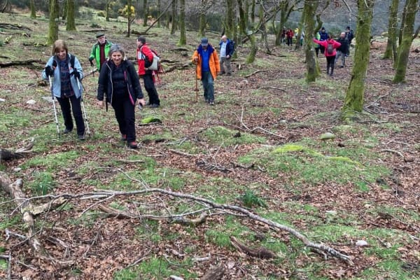 Foto 81 da atividade Galeria de Fotos