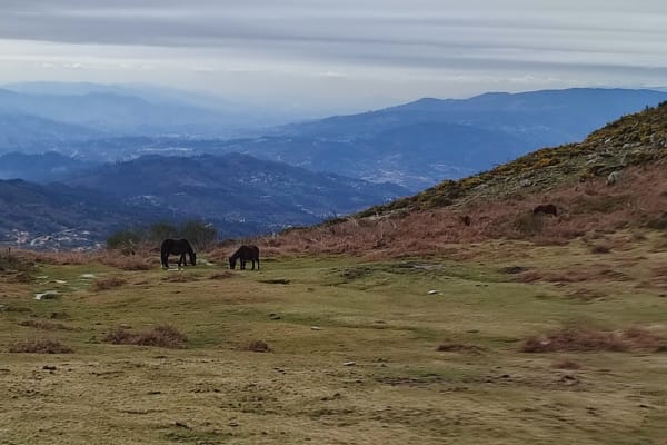 Foto 67 da atividade Galeria de Fotos