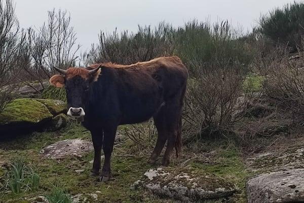 Foto 62 da atividade Galeria de Fotos