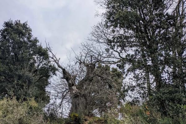 Foto 58 da atividade Galeria de Fotos