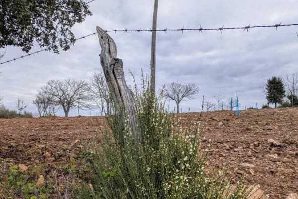 Foto 57 da atividade Galeria de Fotos