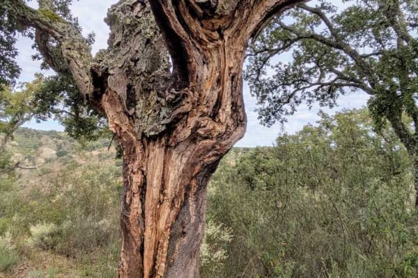 Foto 55 da atividade Galeria de Fotos