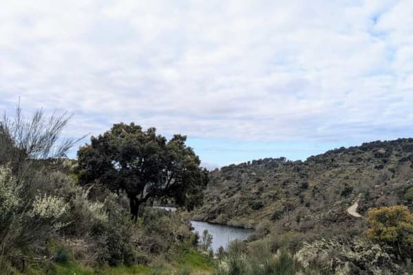 Foto 52 da atividade Galeria de Fotos