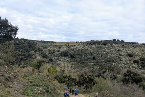 Foto 46 da atividade Galeria de Fotos