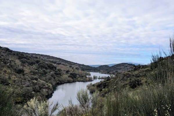 Foto 42 da atividade Galeria de Fotos