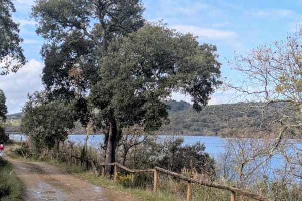 Foto 40 da atividade Galeria de Fotos