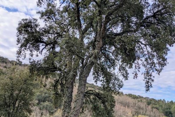 Foto 35 da atividade Galeria de Fotos