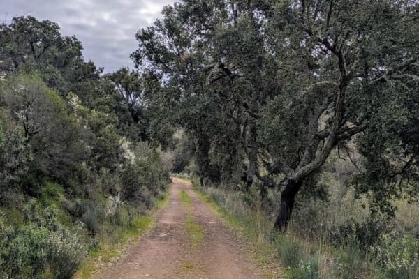 Foto 17 da atividade Galeria de Fotos