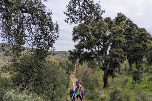 Foto 8 da atividade Galeria de Fotos