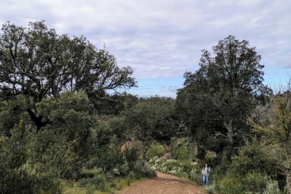 Foto 5 da atividade Galeria de Fotos