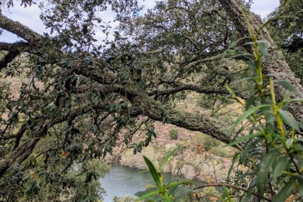 Foto 4 da atividade Galeria de Fotos