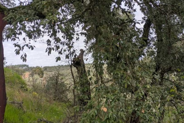 Foto 2 da atividade Galeria de Fotos