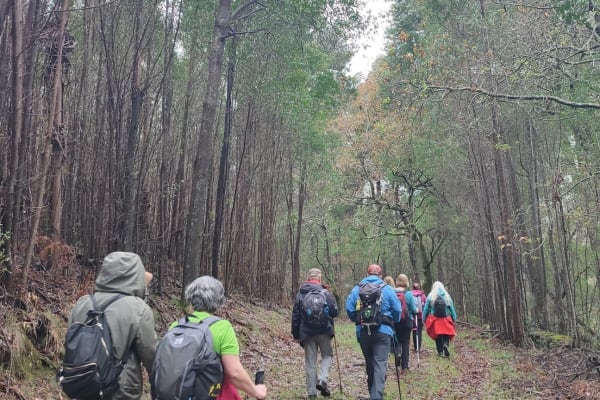 Foto 79 da atividade Galeria de Fotos