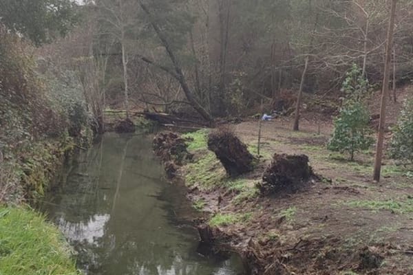 Foto 51 da atividade Galeria de Fotos