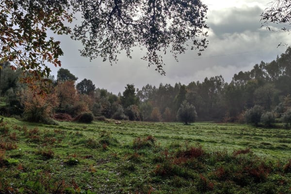 Foto 45 da atividade Galeria de Fotos