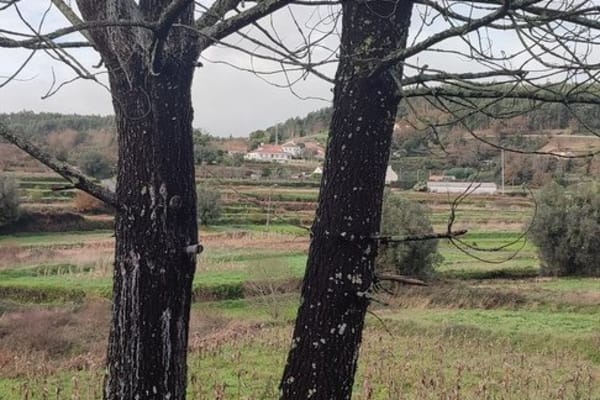 Foto 38 da atividade Galeria de Fotos