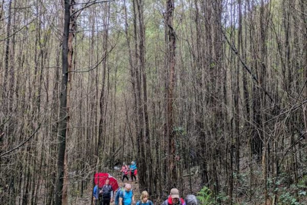 Foto 35 da atividade Galeria de Fotos