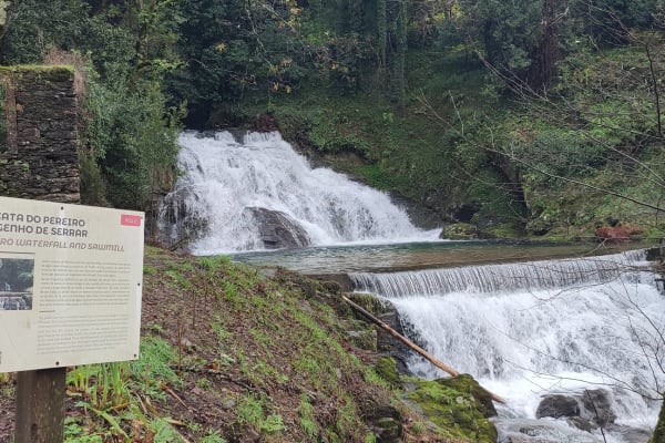 Foto 31 da atividade Galeria de Fotos