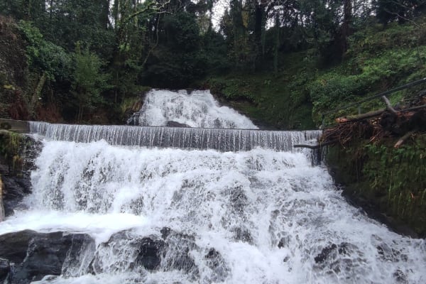 Foto 25 da atividade Galeria de Fotos