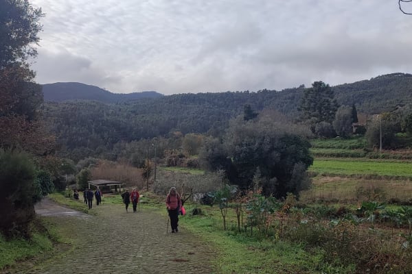 Foto 24 da atividade Galeria de Fotos