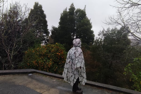 Foto 9 da atividade Galeria de Fotos