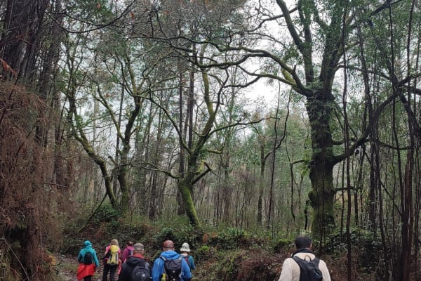 Foto 8 da atividade Galeria de Fotos