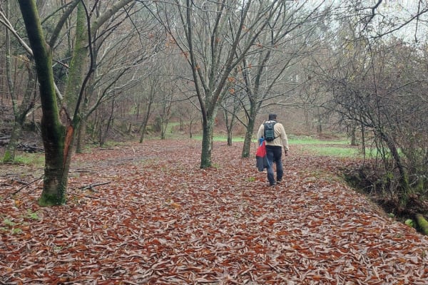 Foto 5 da atividade Galeria de Fotos