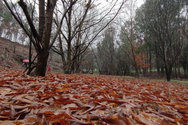 Foto 1 da atividade Galeria de Fotos