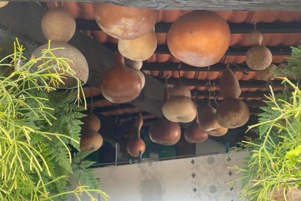 Foto 88 da atividade Galeria de Fotos