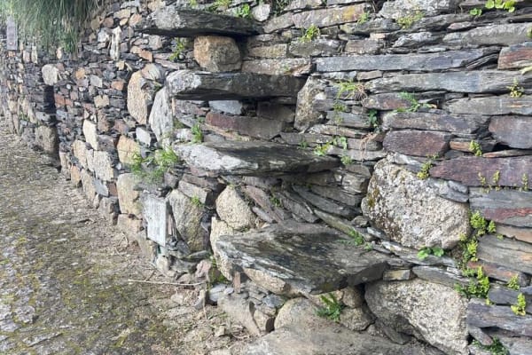 Foto 86 da atividade Galeria de Fotos