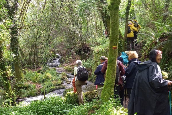 Foto 56 da atividade Galeria de Fotos