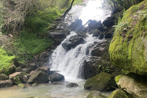 Foto 50 da atividade Galeria de Fotos