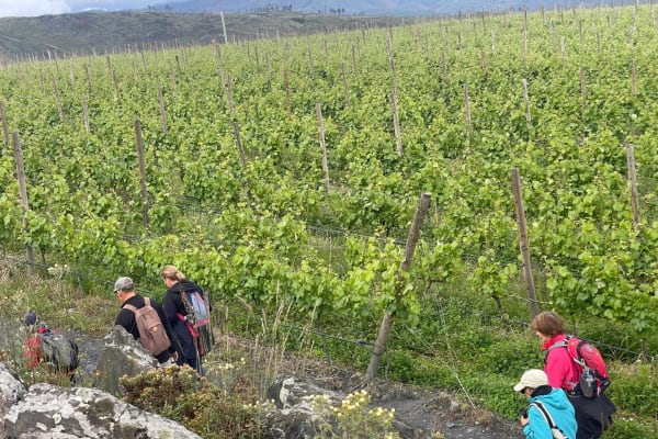 Foto 48 da atividade Galeria de Fotos